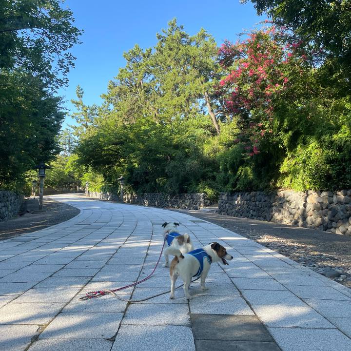 B2e509f9 7ba8 46ab b788 98e98e7e63b1 1722553378505