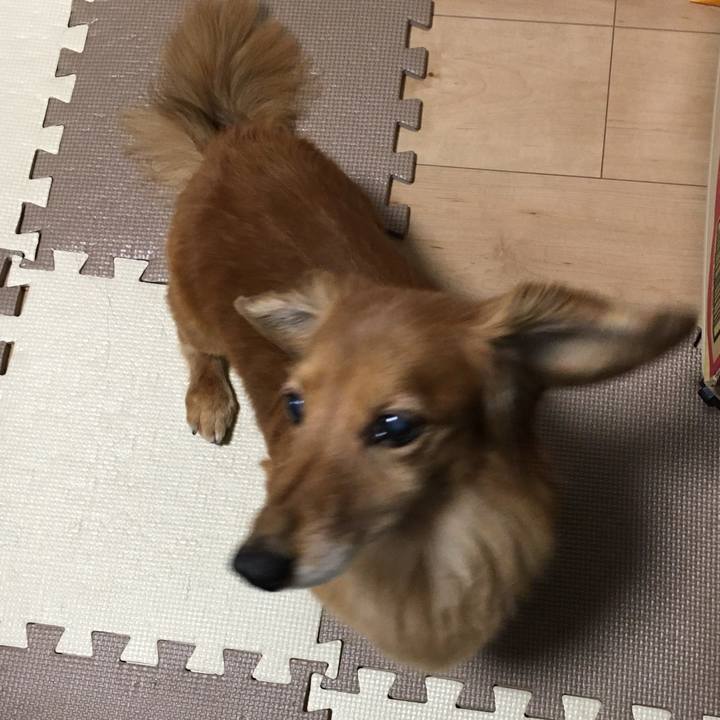 B2e51cd7 6f43 4385 b6a4 48d3339f2679 1608732527049