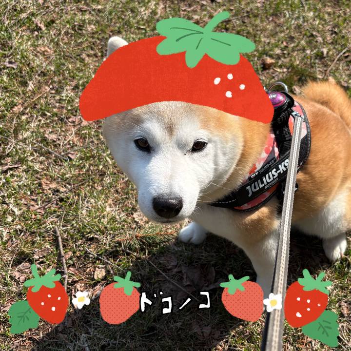 B2e56bf2 9afd 4807 921d f4d41a9b645a 1775720372313