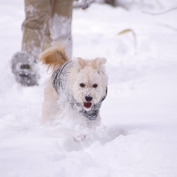 B2e56dd5 13d6 4b2e a2a7 3bc87a5cdc37 1580879561377