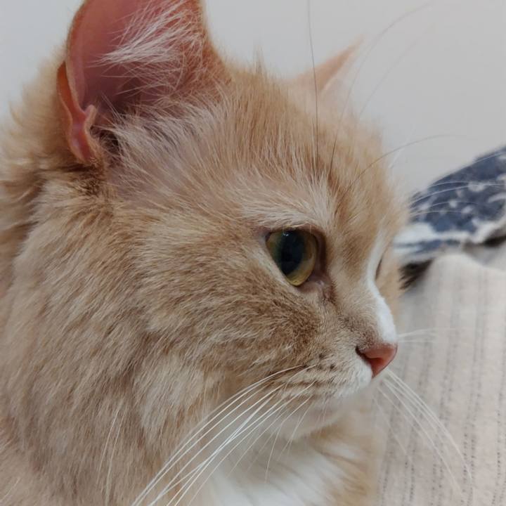 B2e5748e ae33 424a 93c8 248e5cf6a447 1741002808185