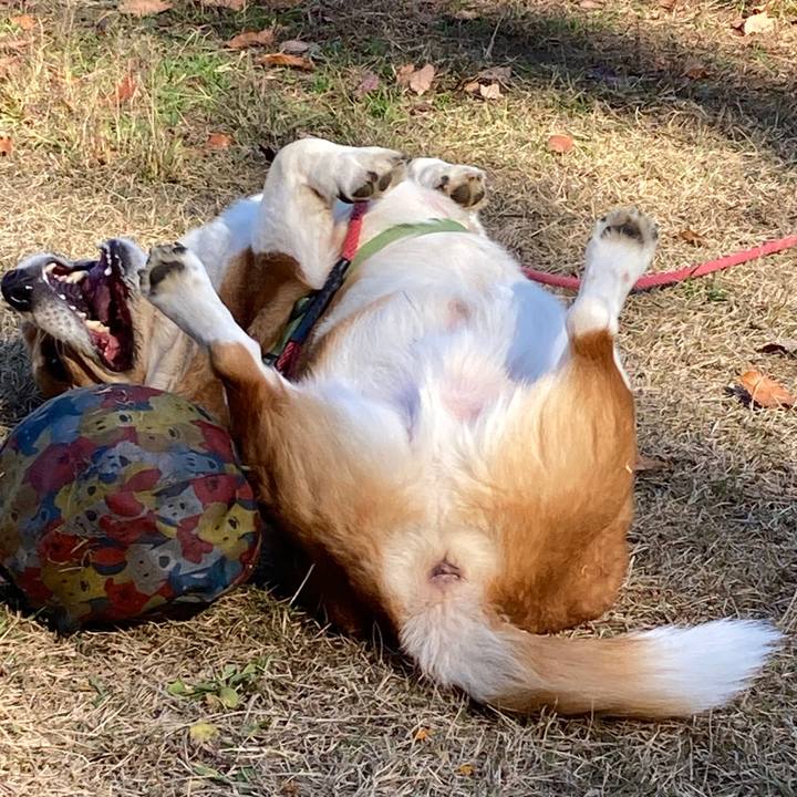 B2e57905 116c 4cc8 8027 e25fced8fa64 1764302834853