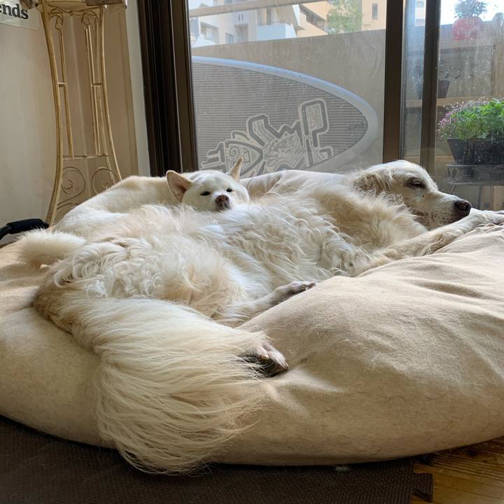 B2e59a11 17e8 461e 8c6f 65c70db14c55 1635656628204