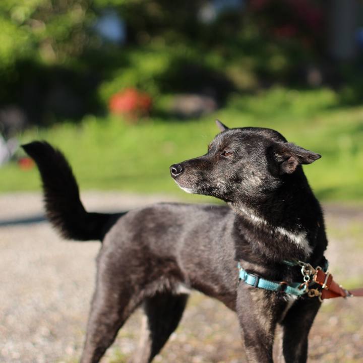 B2e5affe 3a0e 4be9 9f86 b17e8eaa5758 1560475009130