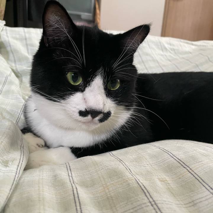 B2e5dee4 4084 4942 ab2c 1b7fbbd03d61 1662331681111