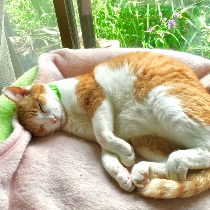 B2e5f361 edab 4c9b 8a2b a17f5c418bbf 1560135409882