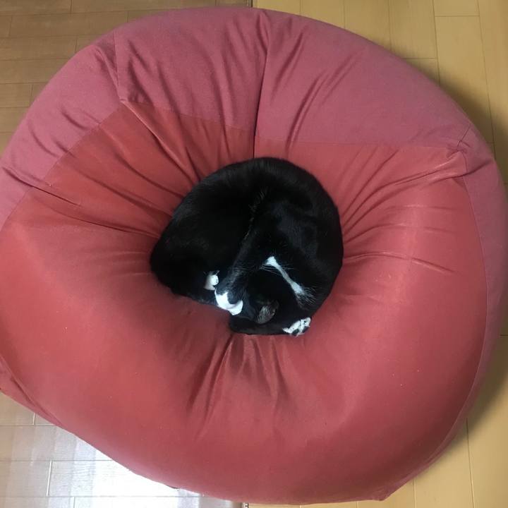 B2e5fbff 3cc1 4ec2 a453 5e81927efab2 1637553139549