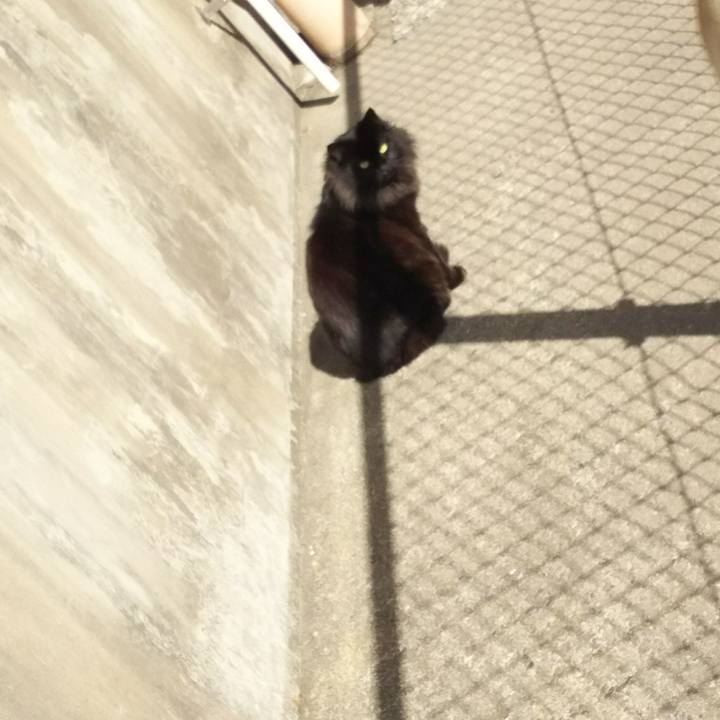 B2e63cd9 a007 4ec3 a871 6a5b0a253fe2 1519952076178