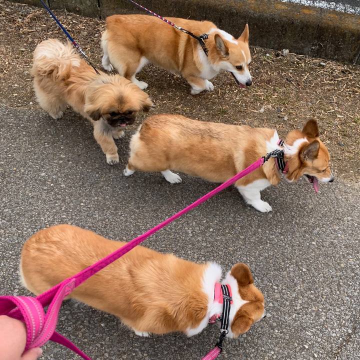 B2e66f22 ed36 45e8 bdb8 9af650428c7f 1557973282618