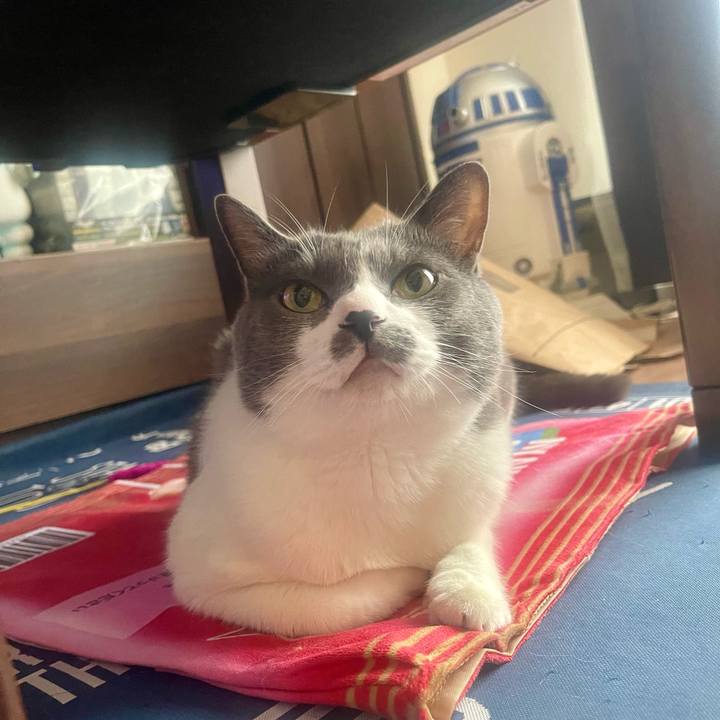 B2e69374 2348 4340 870c 5f35ab4c3028 1719957689026