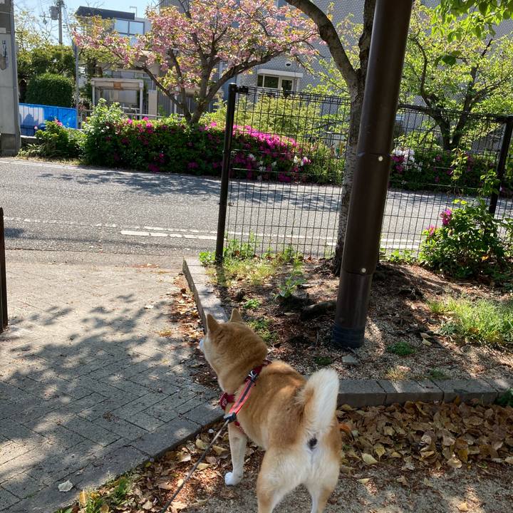 B2e6f654 d1c9 473c b564 0e5f6504cf51 1618452338348