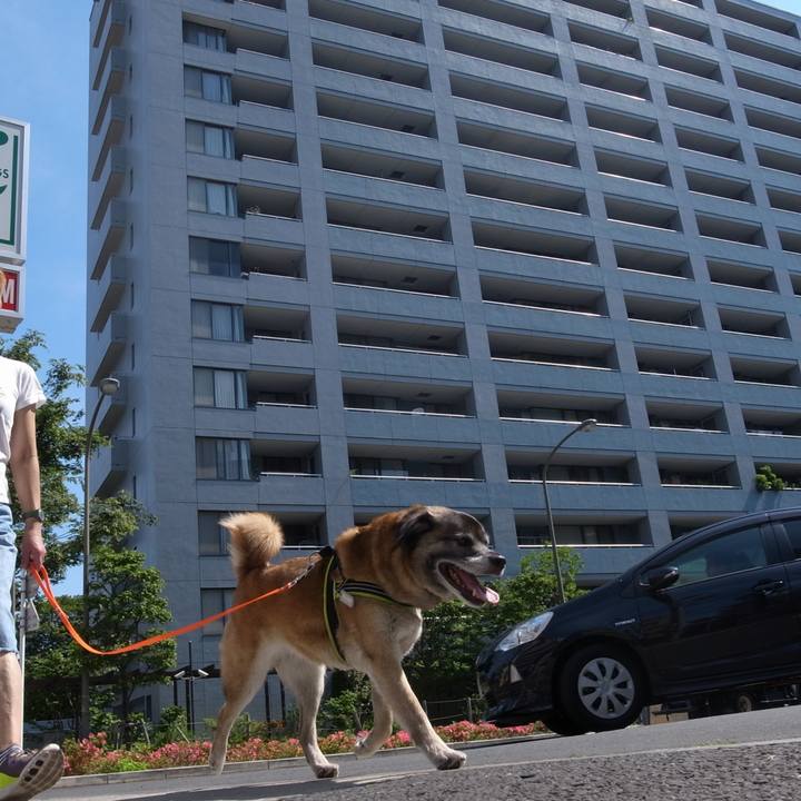 B2e6faa6 d914 4a9a a7f6 580f0b3dbbfb 1586861115475