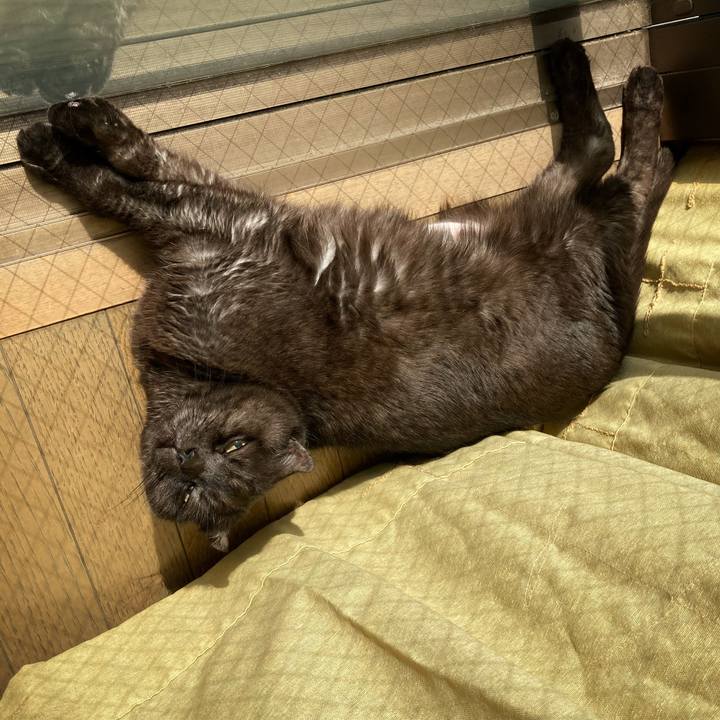 B2e73c4f 3efd 4609 bf54 2f2d6fe19e6b 1613019505232