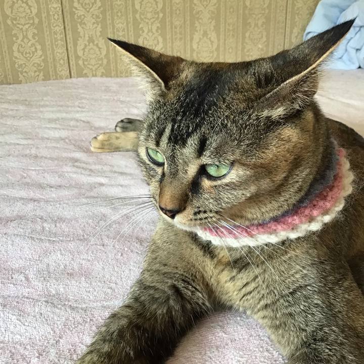 B2e75fdd 2c3e 4d21 8d9c c0a95d9431ac 1625806388252