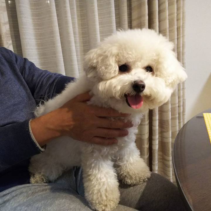 B2e762d5 7052 45f9 84cd 05fb5c2e87f2 1523535386459