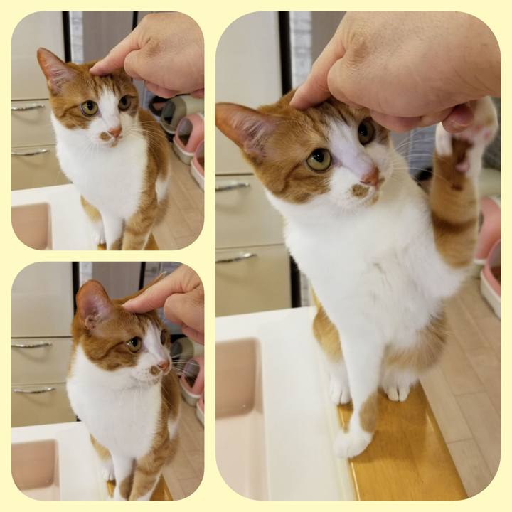 B2e78c89 e1b0 4f83 9fe5 fd34ca83e2d3 1559409344747