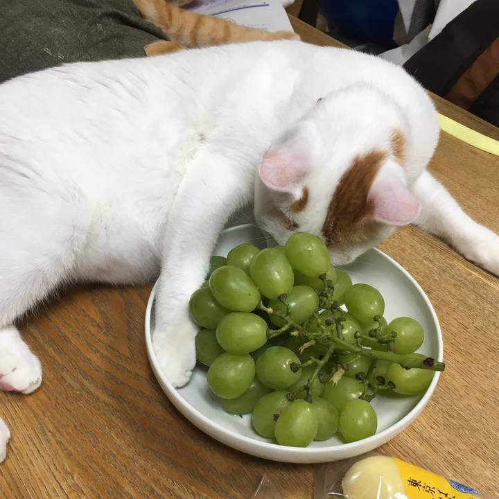 B2e7d147 1210 4905 8a31 39c912c5d2a6 1534569835950