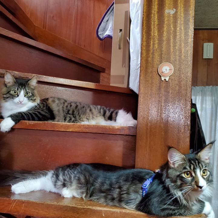 B2e7e2a2 b547 4f43 82b9 e99eb43766b1 1671000161958