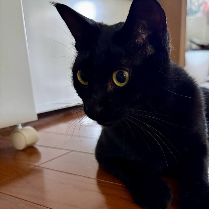 B2e7e368 484f 4d62 b310 7392982abe85 1755823310575