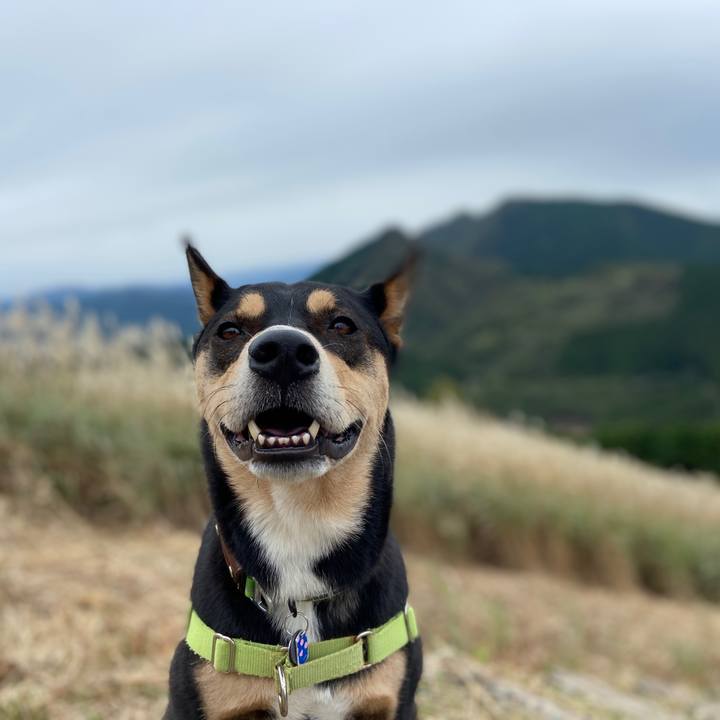 B2e7e9cb ab32 47c2 bbd5 7ce811368187 1634557195699