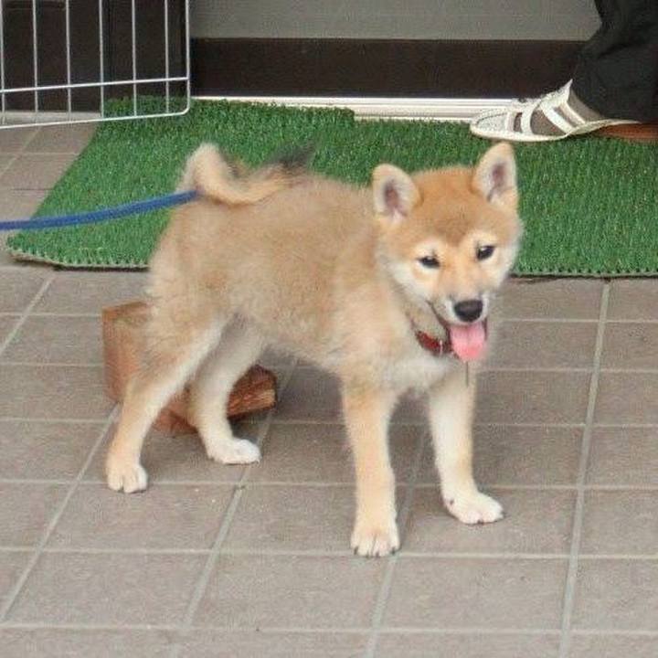 B2e804b2 2add 44ee b213 23065c77d6ee 1623372930440