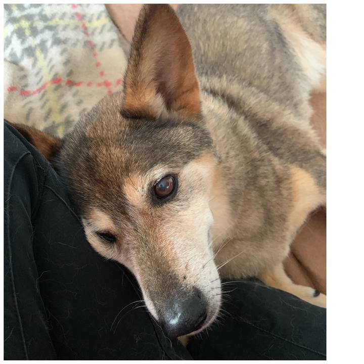 B2e83470 0df3 45da 93a0 ca4adb47065a 1562321042295