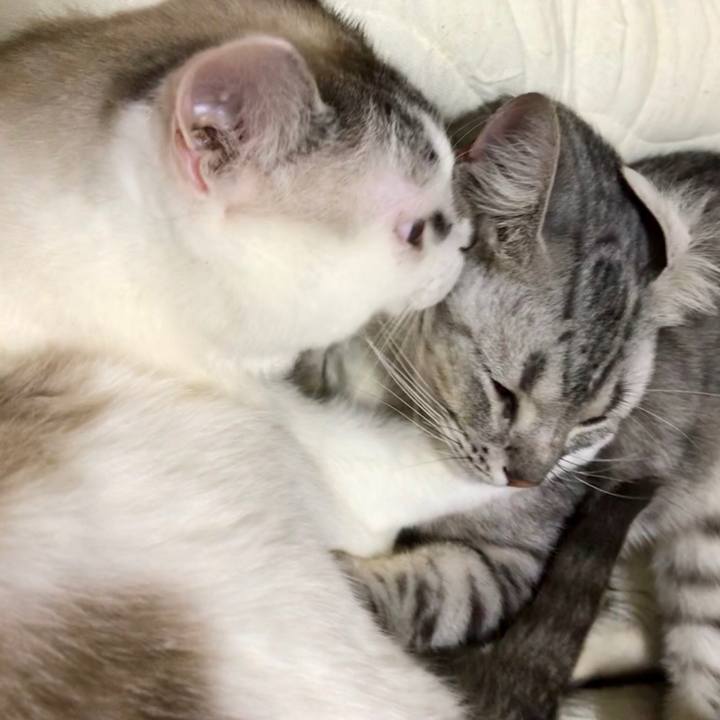 B2e84e1e ec2a 4aaa 9a3a 0d989b43893e 1527258623123