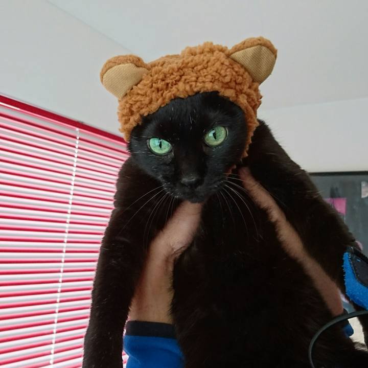 B2e868bf b558 454b 8566 34949b1d66e9 1513490008047