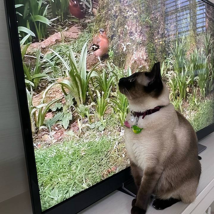 B2e875b2 6350 4150 87f3 b5f80dbedbbc 1745094654080