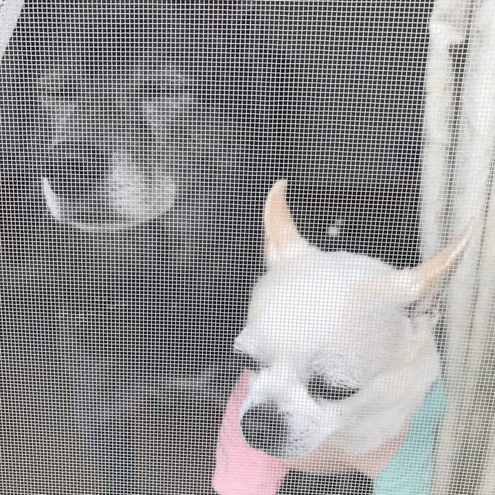 B2e8f1cc b653 45f7 ad4d d42cc42adffa 1561555876375