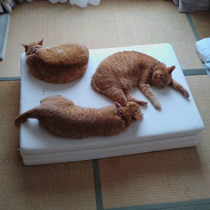 B2e92f32 8e39 47e4 9977 7ead98fe618b 1630211434008