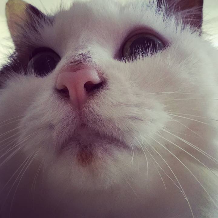 B2e93d32 61de 42e5 9da9 4a037eff3bf7 1573256244580