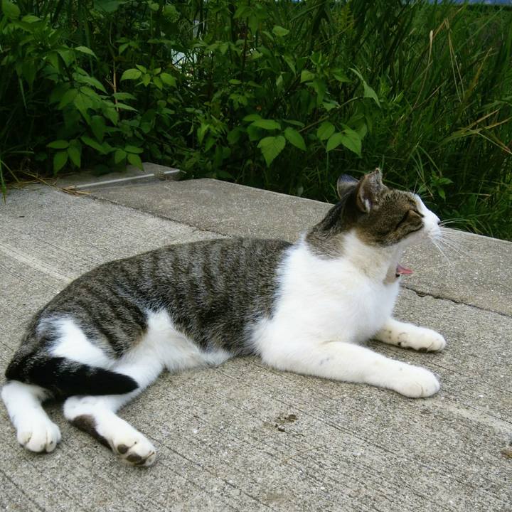 B2e951b7 d2e4 4d41 82b7 3248057c74c2 1538555505073