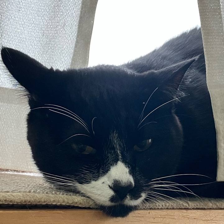 B2e96065 86f1 417a 9e0a 268e861613e8 1698986355354