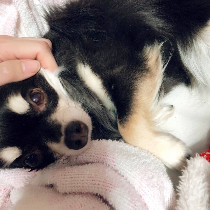 B2e99108 aa6a 45d4 a141 68242ba50651 1522581676920