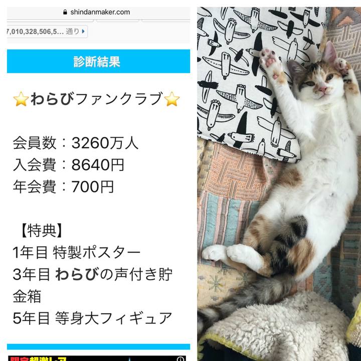 B2e9ab23 f570 45c5 8673 7107c7d89bd2 1568416336563