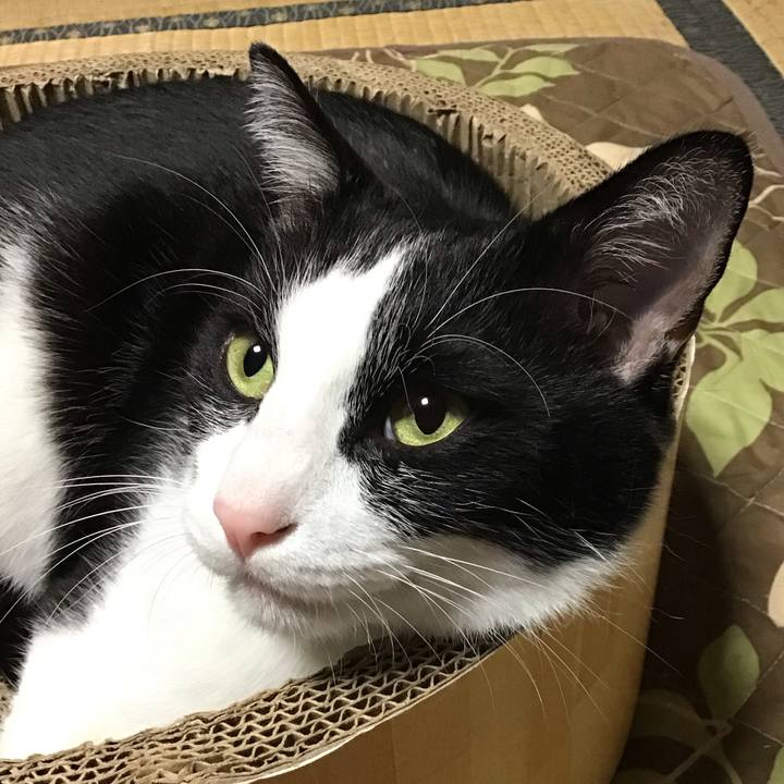 B2e9d35b 6942 4589 bf1e 4ae6a4f6da98 1762075877887