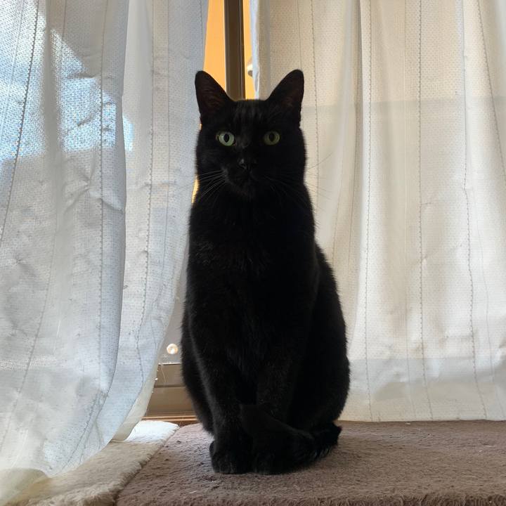 B2e9d5c1 eaa3 464e 85ff 0a0f30812845 1580693911499