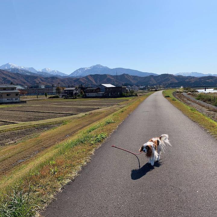 B2e9e824 e1aa 4997 8656 286327b462b0 1605154827355