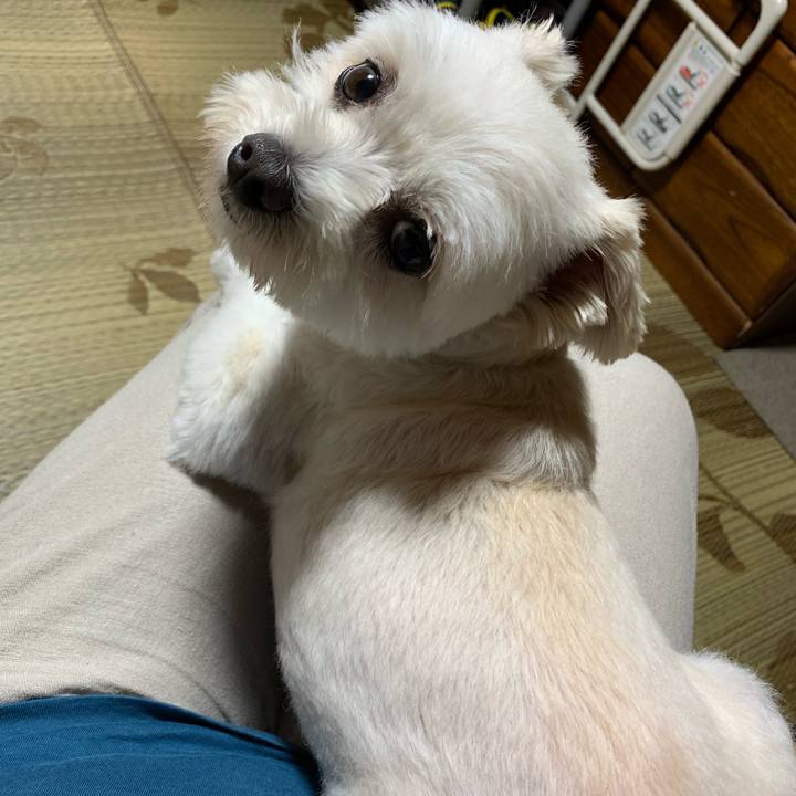 B2e9fe26 9045 4307 bdb3 755929571b0e 1626068411668