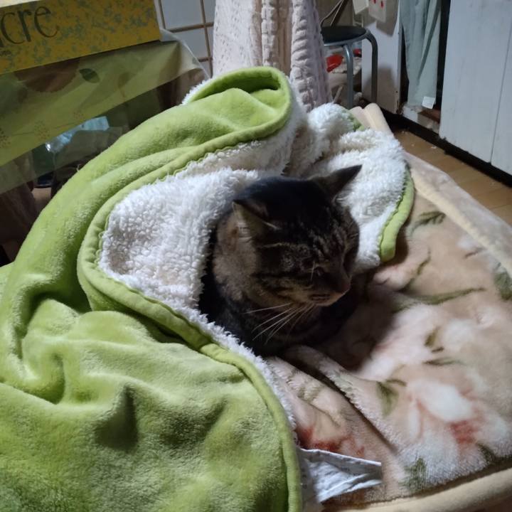 B2ea0bf1 624b 4c23 91d0 4e9a5baebc89 1674950112058