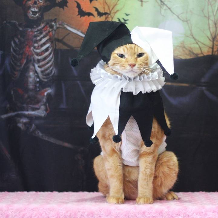 B2ea4f9d 5045 41f7 aa83 496ba38d9a79 1696076719442