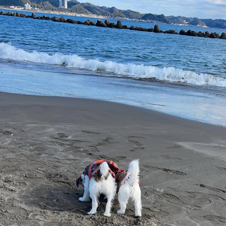 B2ea8927 e75a 4276 91cb 01c8d7d230ce 1767309647487