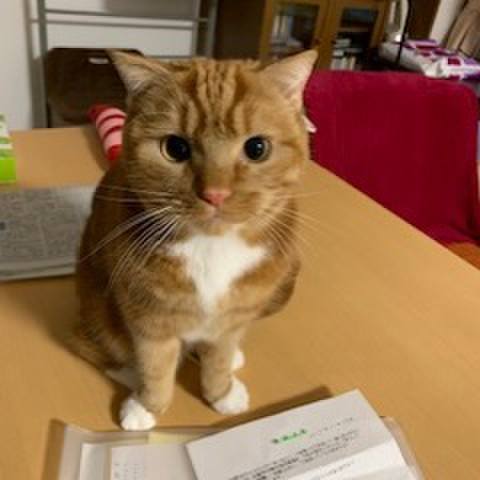 B2ea941b 4e2b 460c ad73 022dd02e7be4 1546251281348