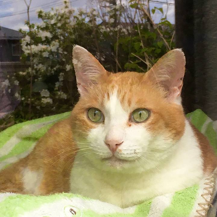 B2ea9be7 0467 4ddd a6da 939c25a300c6 1621462934262