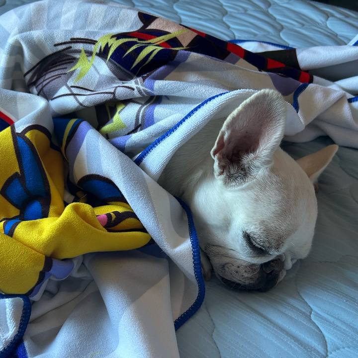 B2eaa2e1 5f90 4a1a a9f5 953fa1ad628d 1696560235333