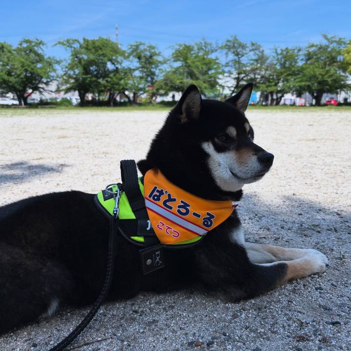 B2eac22f 6edf 49c4 a4f0 b3e6350e3293 1761451927259