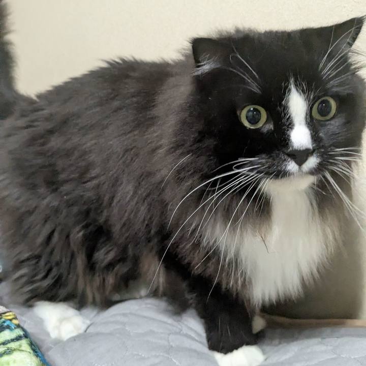 B2ead9cd 9275 422d a3f0 50d85fb424b6 1756631407235