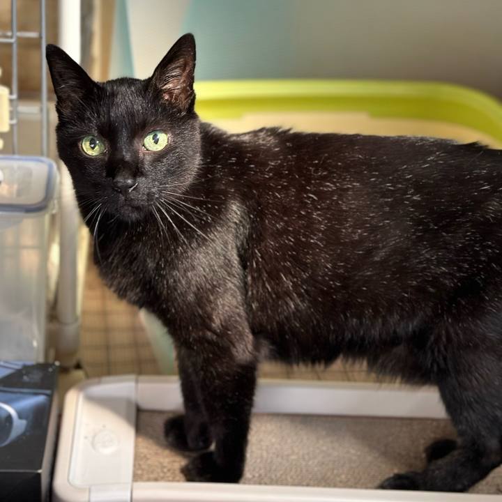 B2eb13aa f440 4022 9cd8 42b3a020e3ae 1694481028552