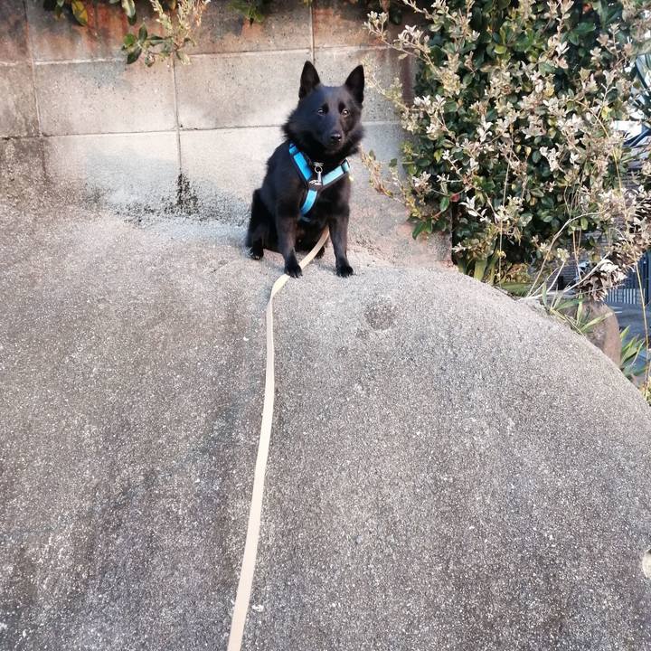 B2eb229a 6b4c 4198 b303 72a8a3d15d41 1636927530765